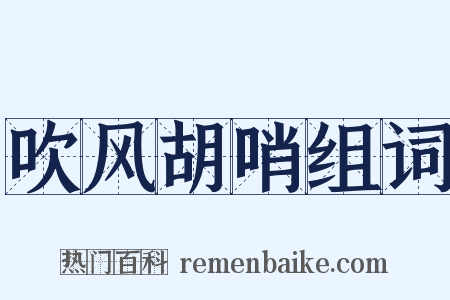 吹风胡哨组词是什么意思的图片
